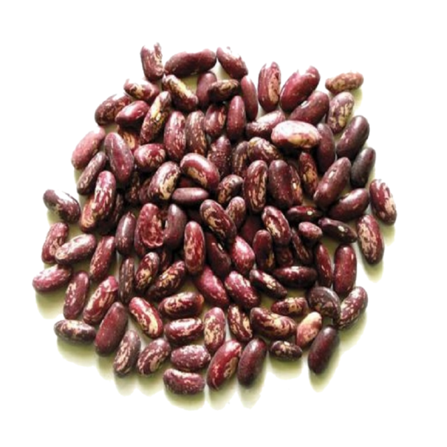 Квасоля сушена, кольорова строката, ДСТУ 8672, 1 кг